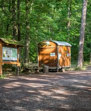 FriedWald Kirchheimbolanden Bild 7