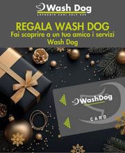 WashDog Bellinzona Bild 7