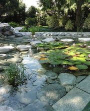 Kleinpeter Gartenbau AG Bild 2