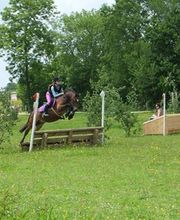 Centre Equestre De Sully image 1