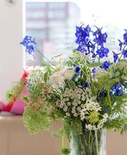 Solarwaterworld Hafen: Schiffsrundfahrten und Sightseeing Touren in Berlin mit Solar-Katamaran Bild 7