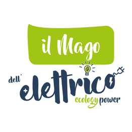 Il Mago dell'elettrico logo