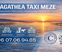 Agathea Taxi image 1