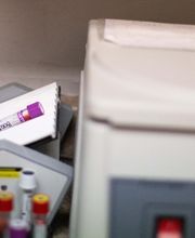 TotalBond Veterinary Hospital at Paw Creek image 8