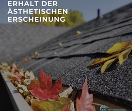 Dachrinnenreinigung
