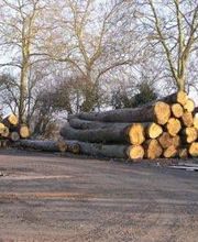 Pascal Pesson Sarl image 2