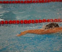 White Sharks Trier e.V. Bild 6