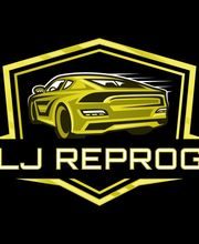 LJ Reprog image 1