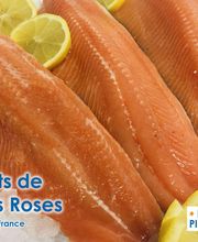 Pisciculture & Poissonnerie Beaume image 12