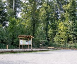 FriedWald Starzach Bild 10