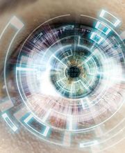 Baudin Jérome image 10