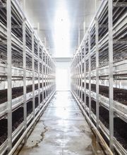 Gallery Professionale