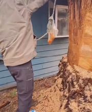 Southern Oregon Tree Care LLC image 10