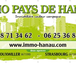 Immo du Pays de Hanau image 4