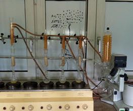 afruse-Control-de-calidad-3.jpg