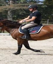 Les Cavaliers D'epona image 1