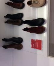 Camper Torino Milano immagine 11