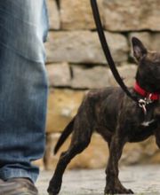 Instinkt Management Bild 5