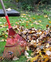 Laub Beseitigung im Herbst