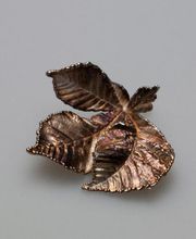 Trudika-Shop Inh. Detlef Janke Bild 1