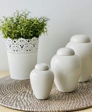 Funema Alzira imagen 15