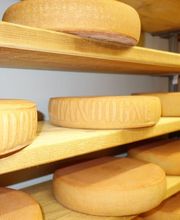 Ferme des Trontières Randogne Bild 5