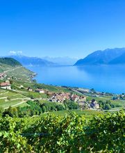 Union Vinicole de Cully - Espace de location Vinilingus Bild 9