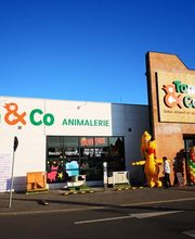 Tom&Co Calais-Coquelles image 2