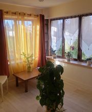 Jeannot Daisy image 5