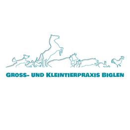 Gross- und Kleintierpraxis Geiser Biglen