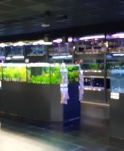 Animalis Antibes image 1