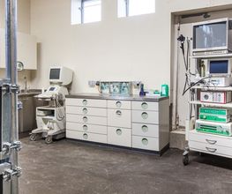Pferdeklinik Nindorf Bild 5