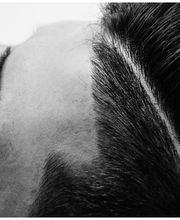Scrawler Barber Shop imagen 5