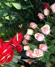 Fleurs d'Amandine image 8