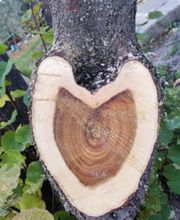 Verticalibre image 1