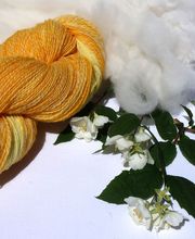 Un mouton dans l'Herbe image 14