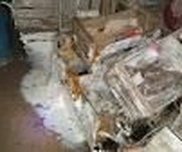TCL 43 image 7