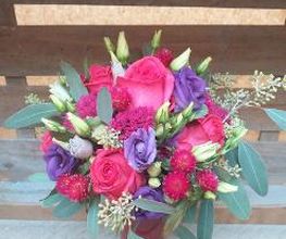 Blumen Dahlmann Bild 2
