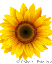 Psychotherapie HeilprG Heart Math Methode Strobelt-Lockenvitz Petra Bild 1