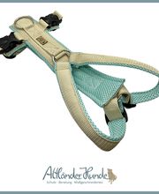 Altländer Hunde Bild 5