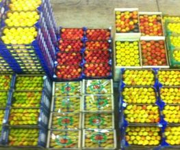 Expo Fruits image 10