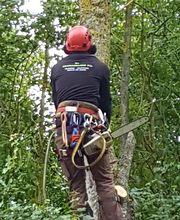 Chassagrande Elagage Fils image 10