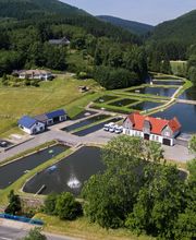 Sauerländer Forellenzucht Thomas Rameil Bild 3