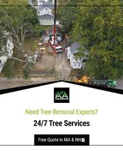 AA Tree Service image 4