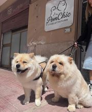 Gallery Cliente