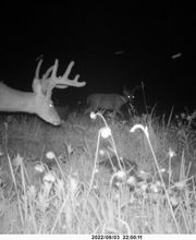Legend Valley Outfitters image 9