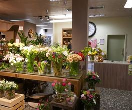 Blumen Eichenberger Horgen Bild 4