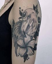 Lanterne Noire image 7