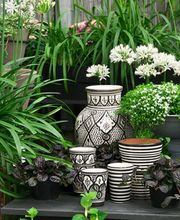 1A Blumen Beck Bild 1