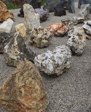 Palatinum Landschafts und Gartendesign GdbR Bild 4